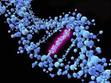 Mutation